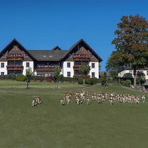 https://ferienappartements-rausch.com-bavaria.com